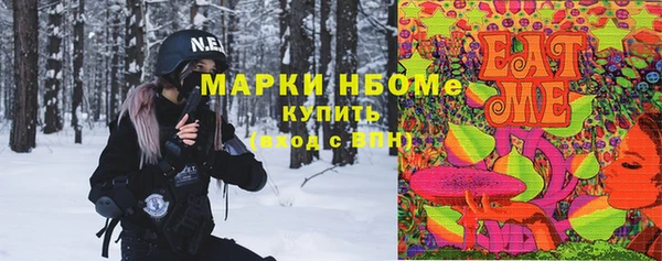 mdma Богородицк