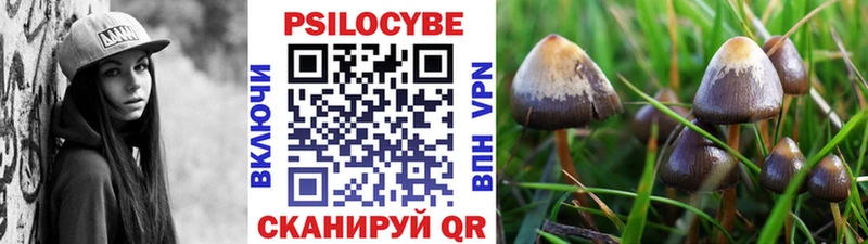 Купить закладки  Куртамыш  Галлюциногенные грибы MAGIC MUSHROOMS 